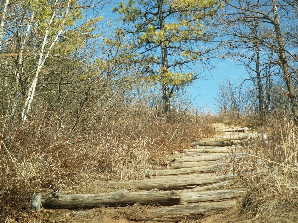 Photo: Pine Bush Stairs