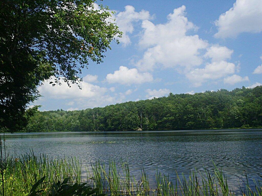 Photo: Tubs Pond