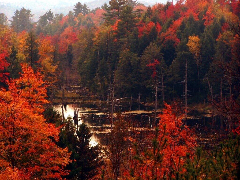 Photo: North Pond