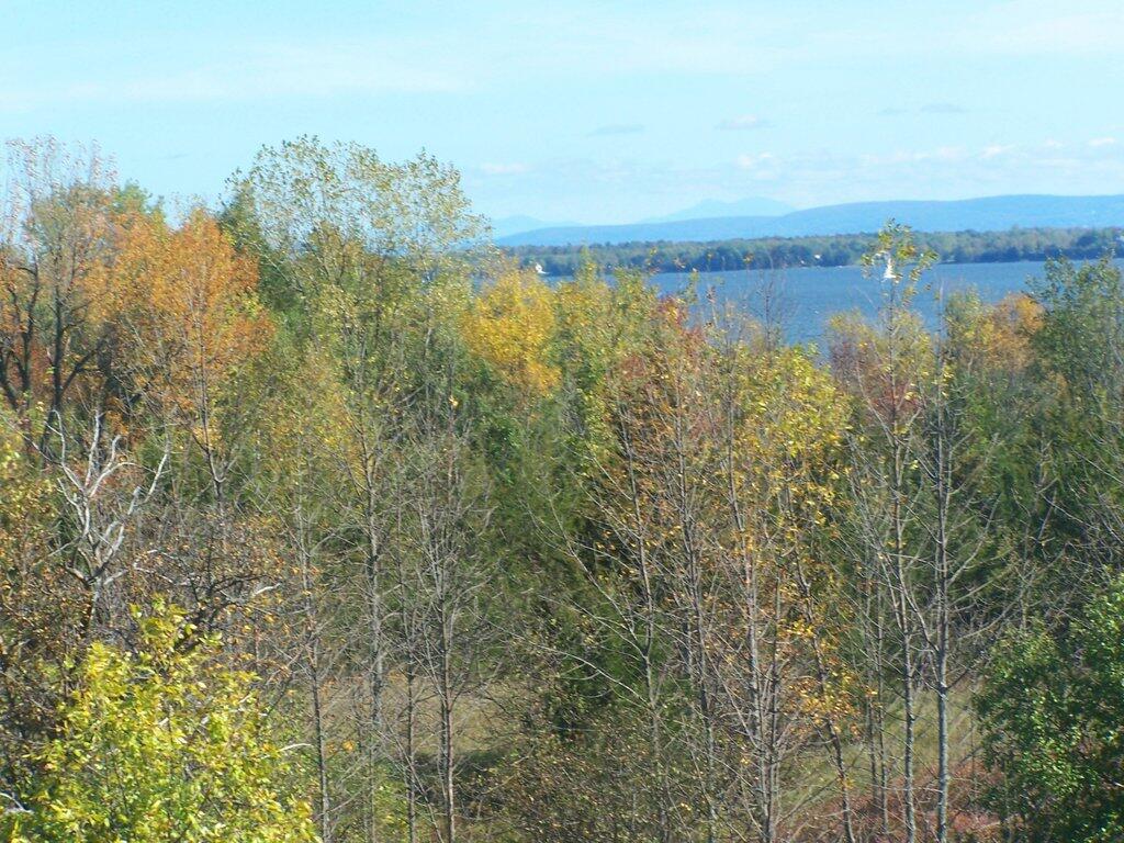 Photo: The View from Long Point