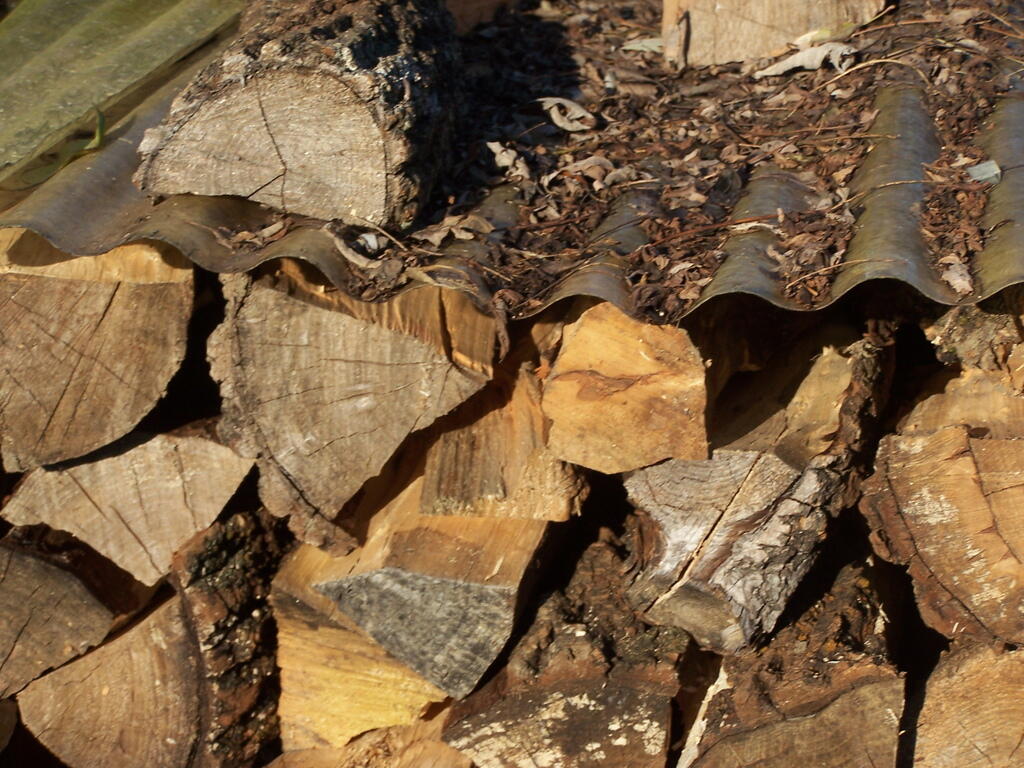 Photo: Wood Pile