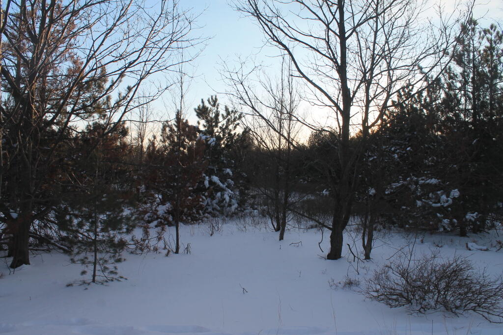 Photo: Photo.2013.02.10 18.43.05
