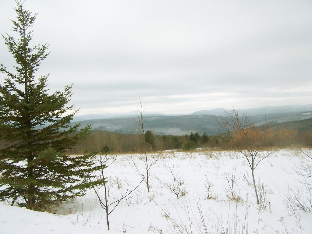 Photo: Wintery View Off Of Scutt Road