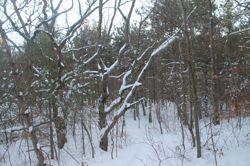 Photo: Photo.2013.02.10 18.46.51