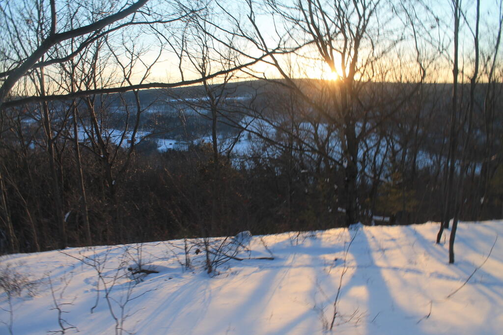 Photo: Rays of February