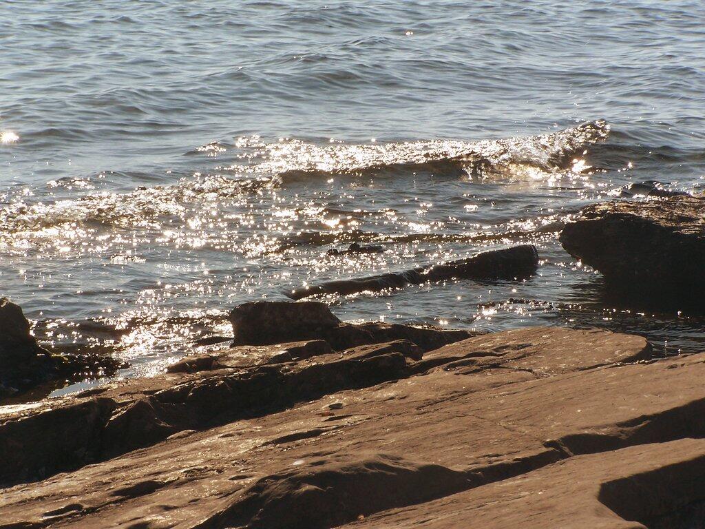 Photo: Shoreline