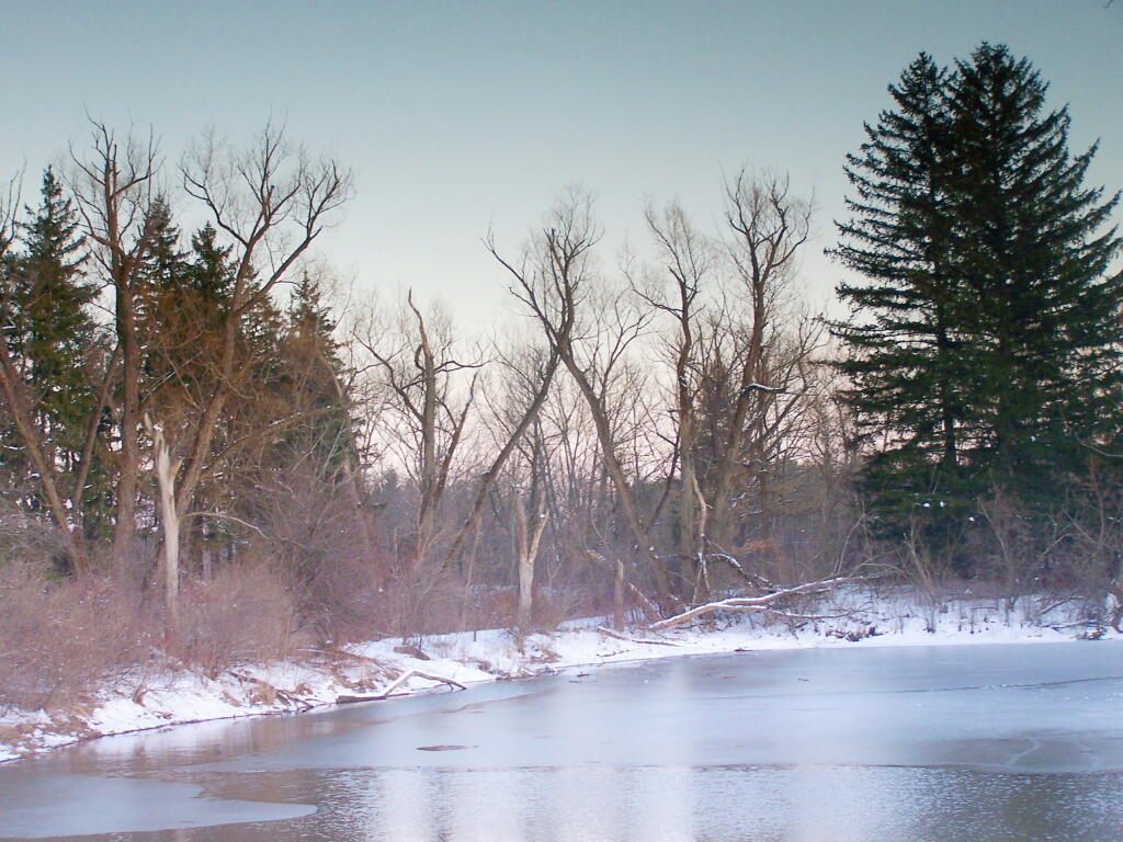 Photo: Pond at Five Rivers