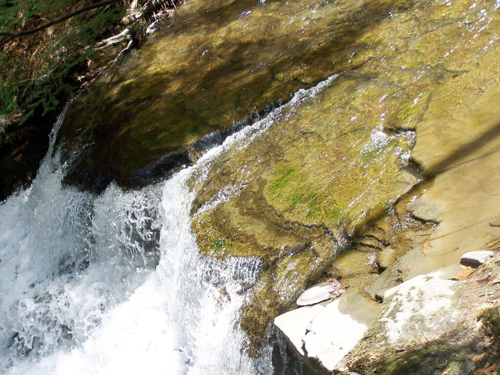 Photo: Lots of Water