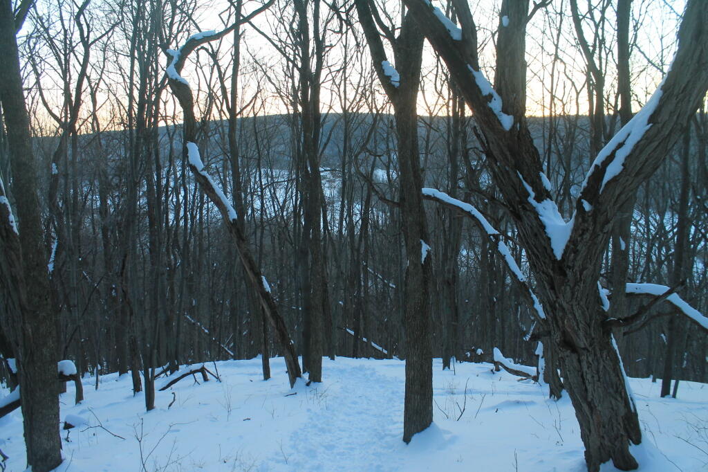 Photo: Afternon on Bennett Hill