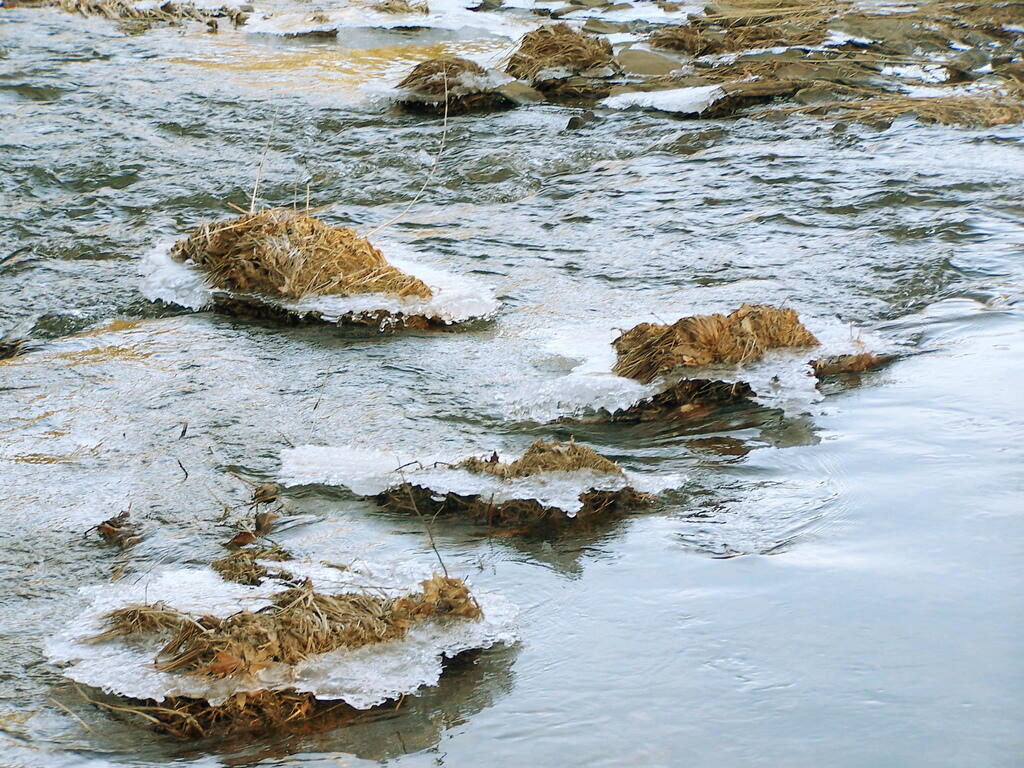 Photo: Thawing Ice