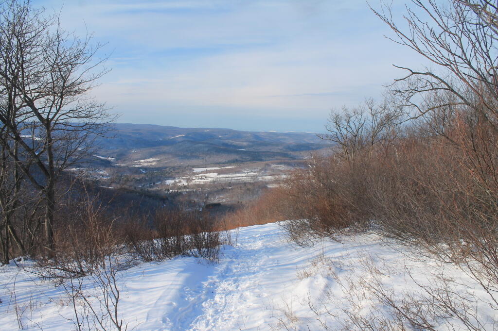 Photo: Snowy afternoon from Petersburg Pass
