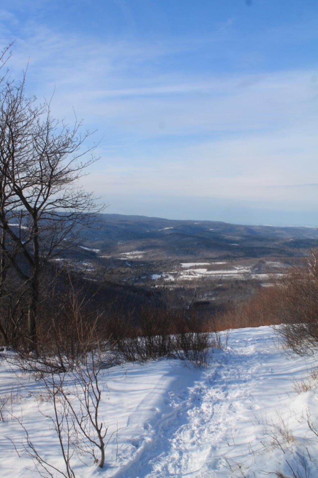Photo: Photo.2013.01.19 16.14.39