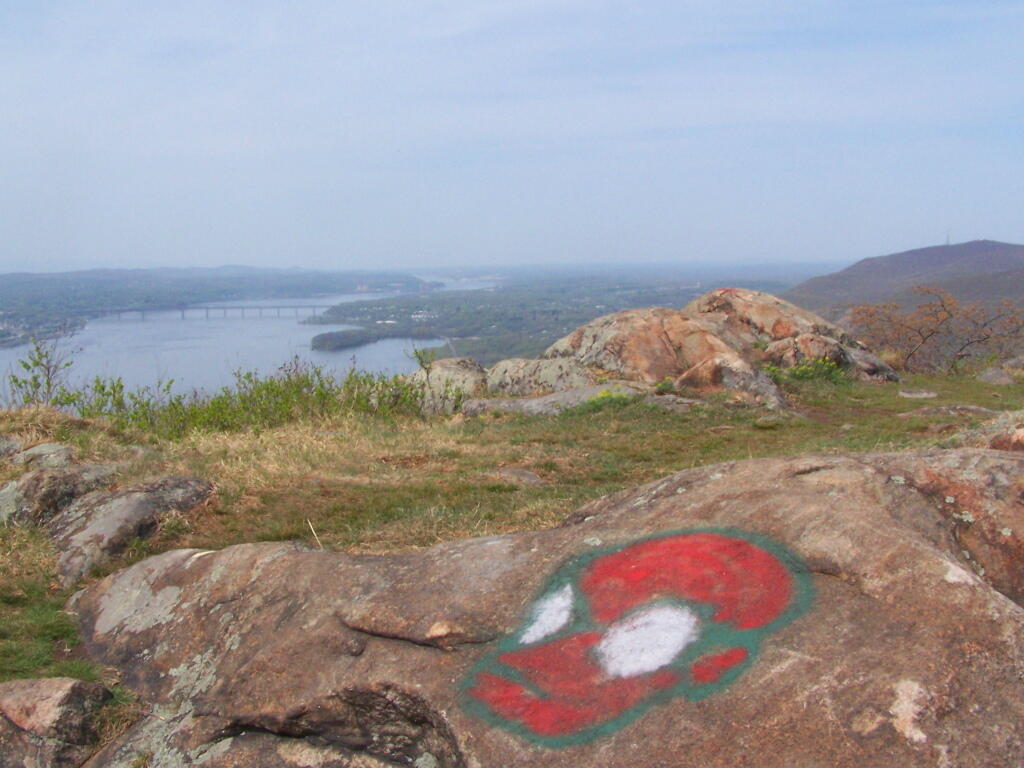Photo: Storm King Alien