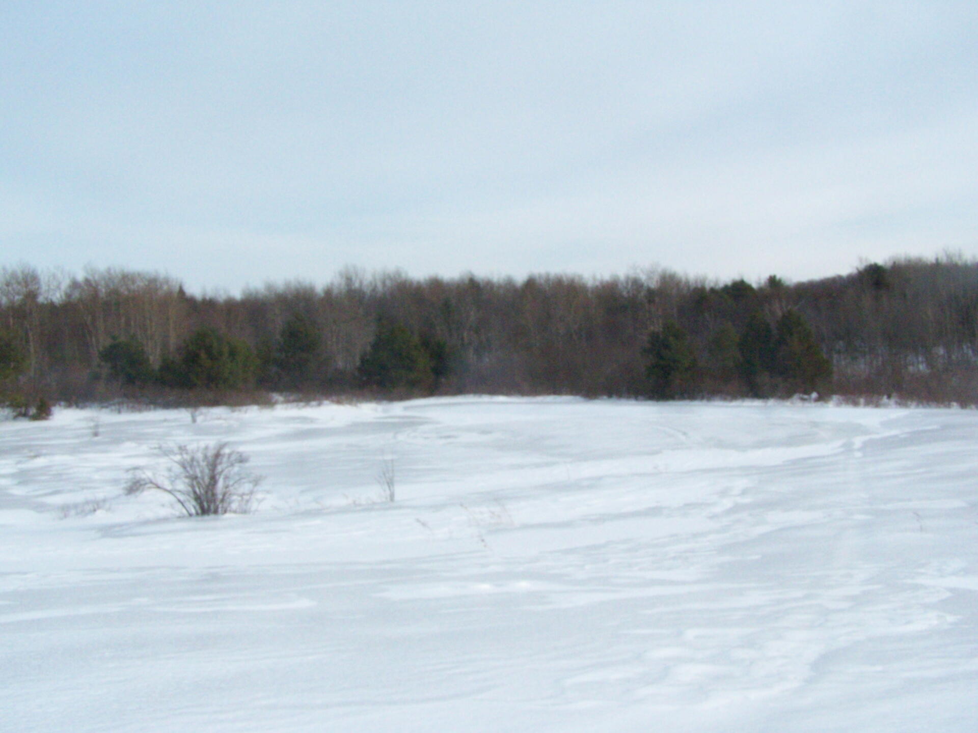 Photo: Ice and Snow Covered Pond | Andy Arthur.org