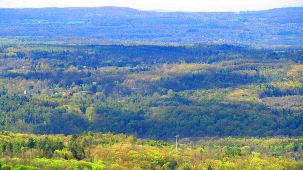 Photo: Northern Slope of Storm King