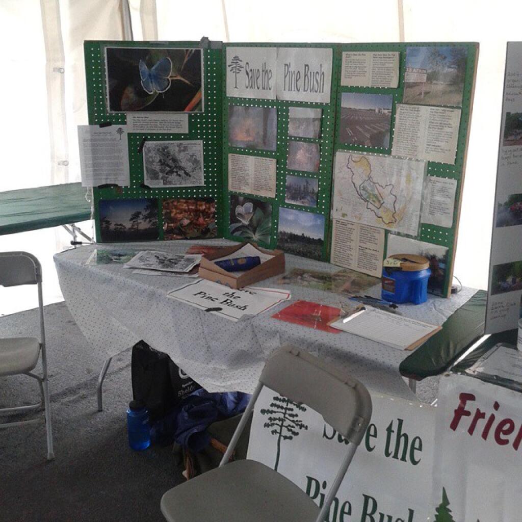 Photo: Save the Pine Bush booth at @AlbanyPineBush Lupinefest