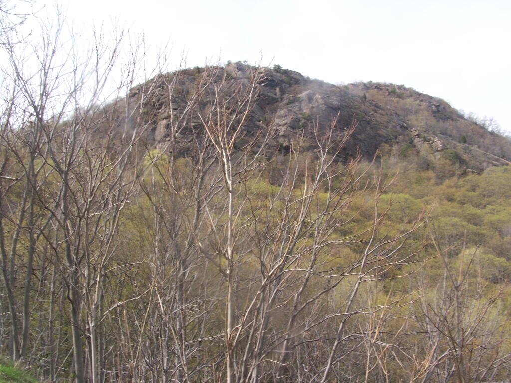 Photo: Atop Bear Mountain