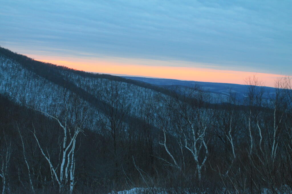 Photo: Clearing in the Distance