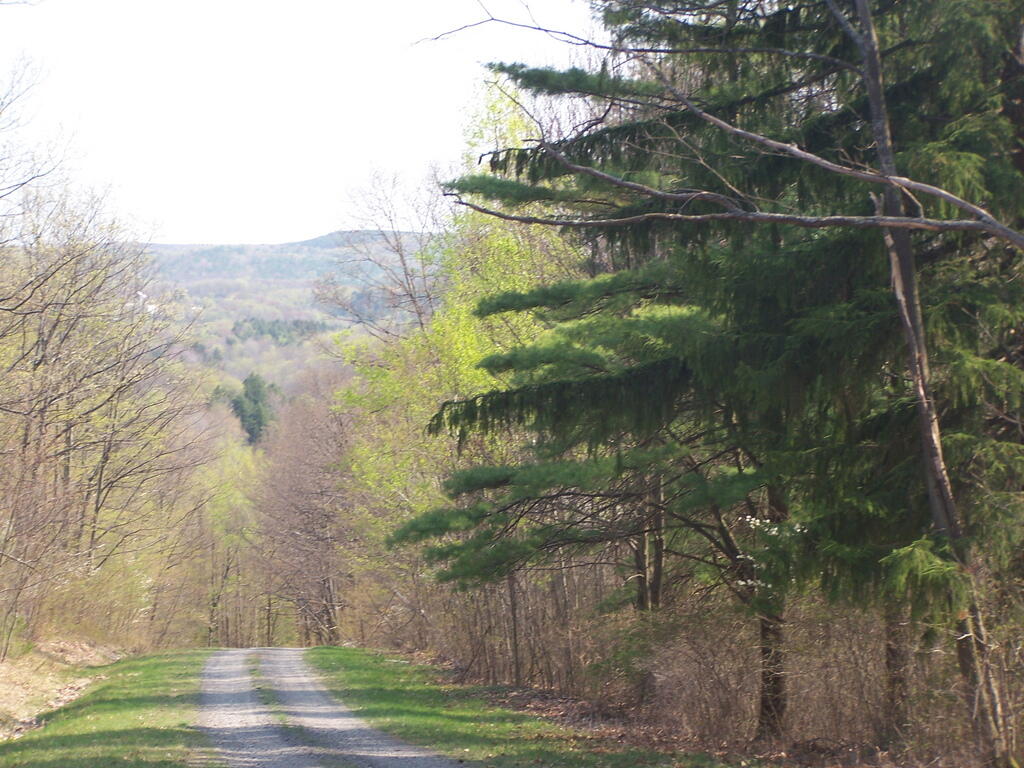 Photo: Into the Valley