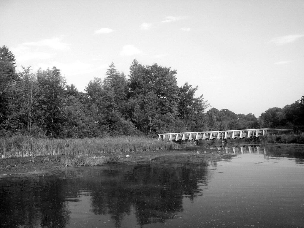Photo: Greenville Bridge