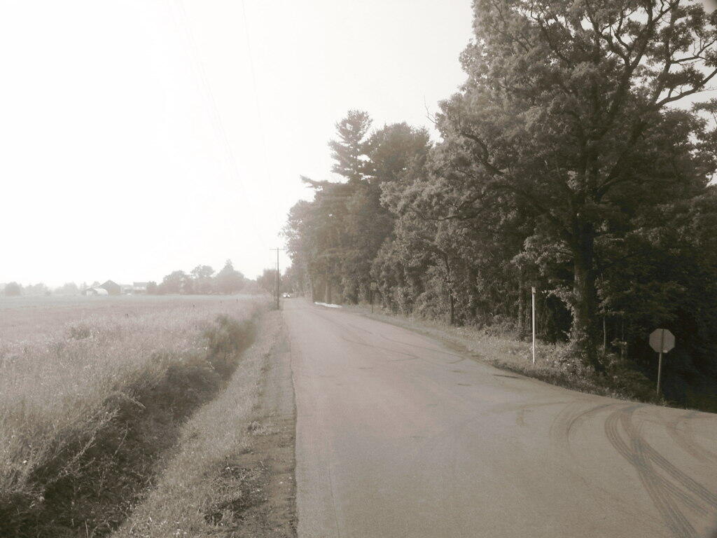 Photo: Meads Farm Road