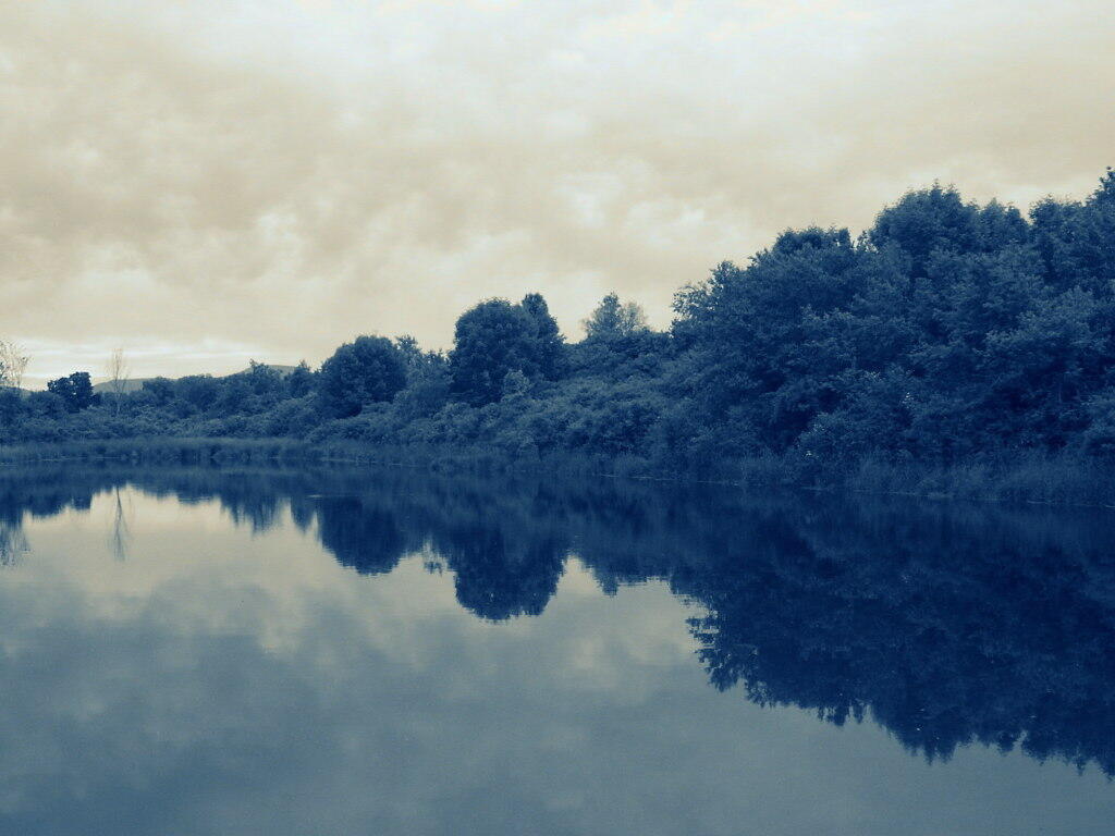 Photo: Pond