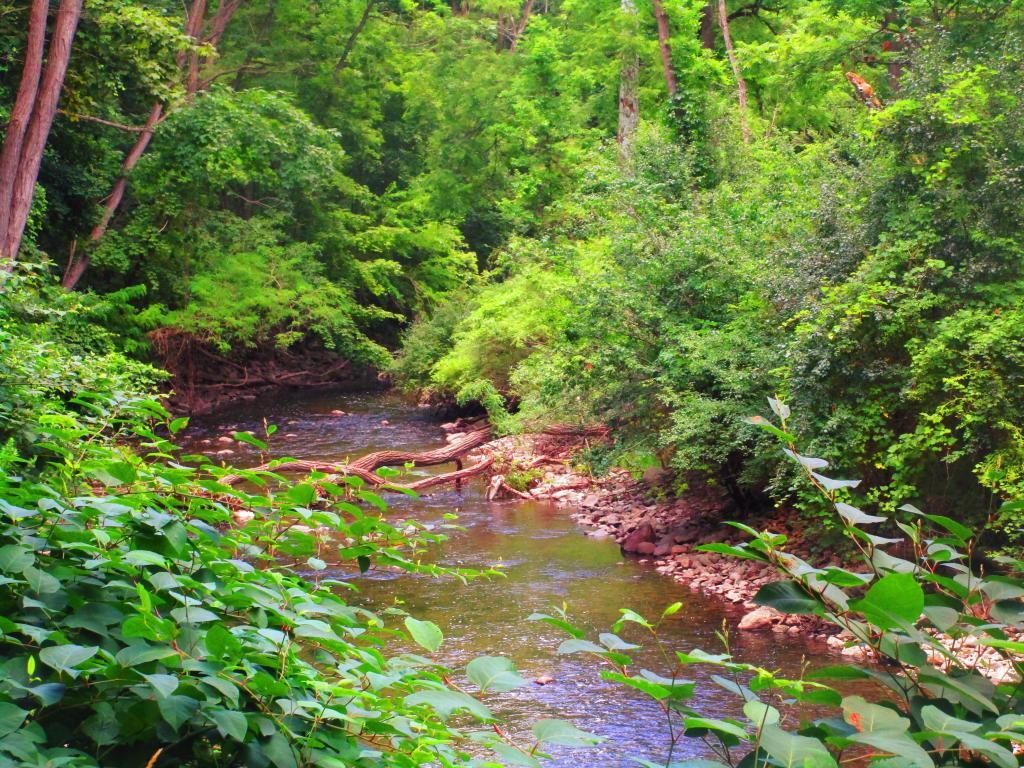 Photo: Keuka Outlet Photo: Keuka Outlet