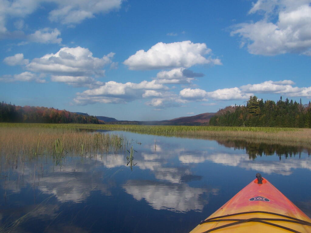 Cedar River Flow – Andy Arthur.org