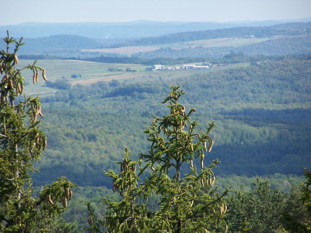 Photo: Distant Farm