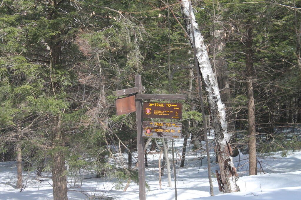 Photo: Photo.2013.03.10 14.34.22