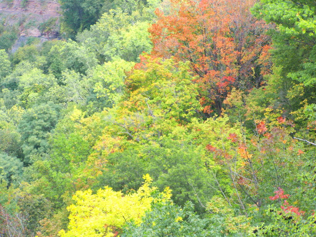 Photo: Signs of Fall