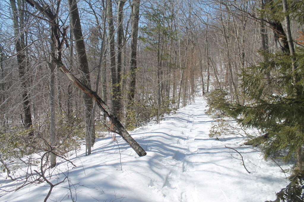 Photo: Great Snow Shoeing at Palenville Overlook Trail