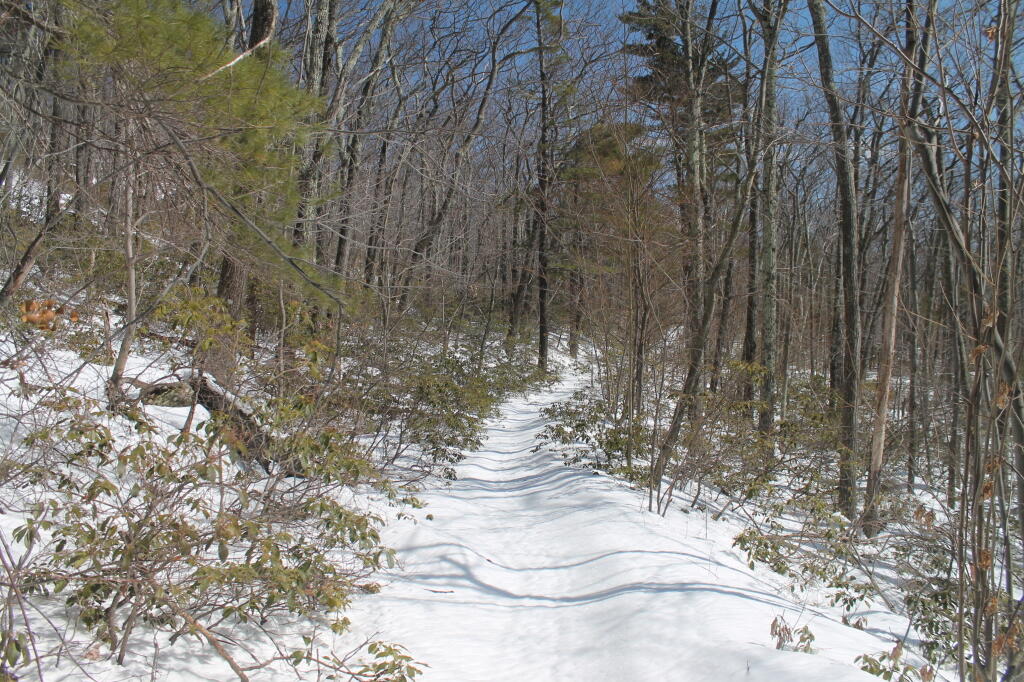 Photo: Snowshoeing Along the Palenville Overlook Trail