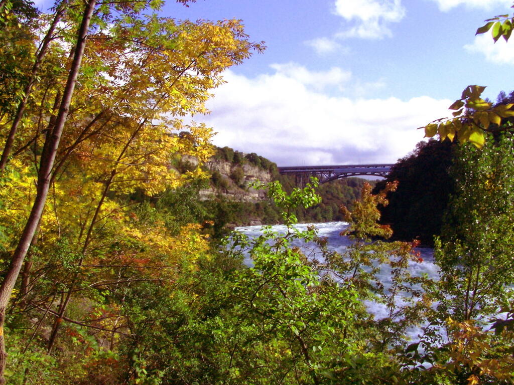 Photo: In the Niagara River Gorge
