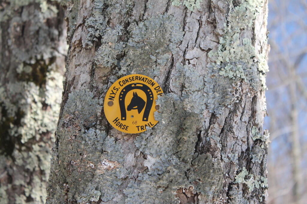 Photo: Horse Trail