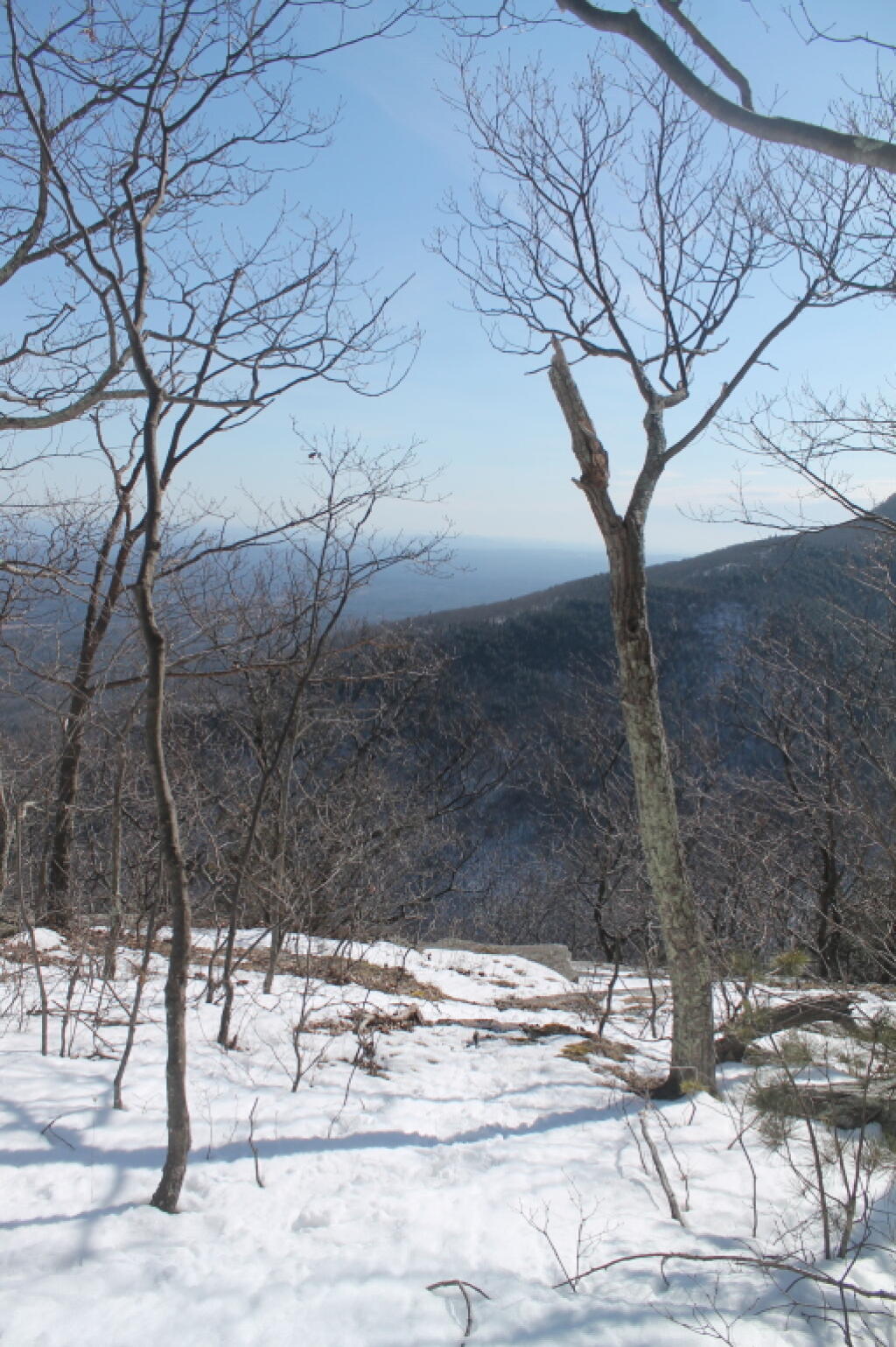 Photo: Photo.2013.03.10 15.55.13