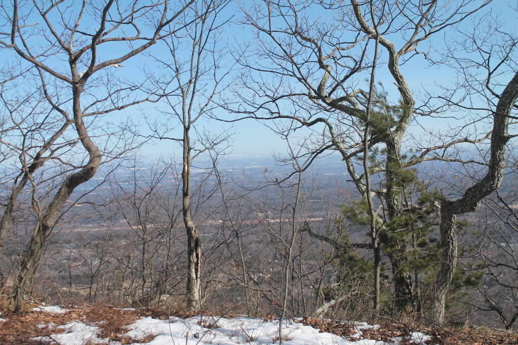 Photo: Photo.2013.03.10 16.47.14