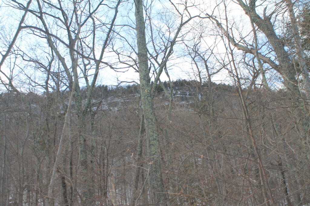 Photo: Photo.2013.03.10 17.35.59