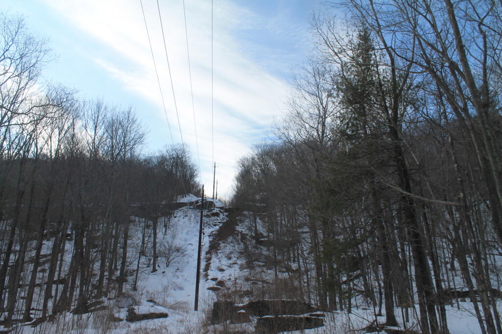 Photo: Photo.2013.03.10 17.51.37