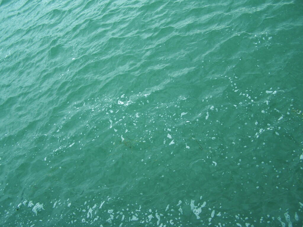 Photo: Green Water