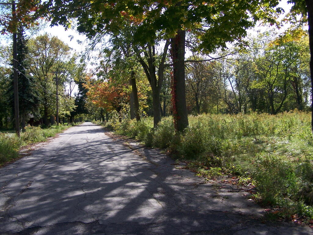 Photo: 101st Street
