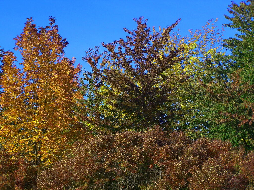 Photo: Mash of Color