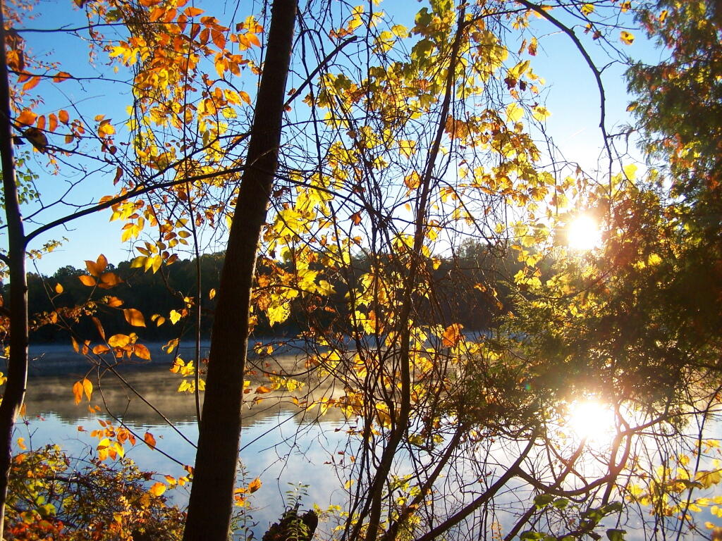Photo: Sunrise