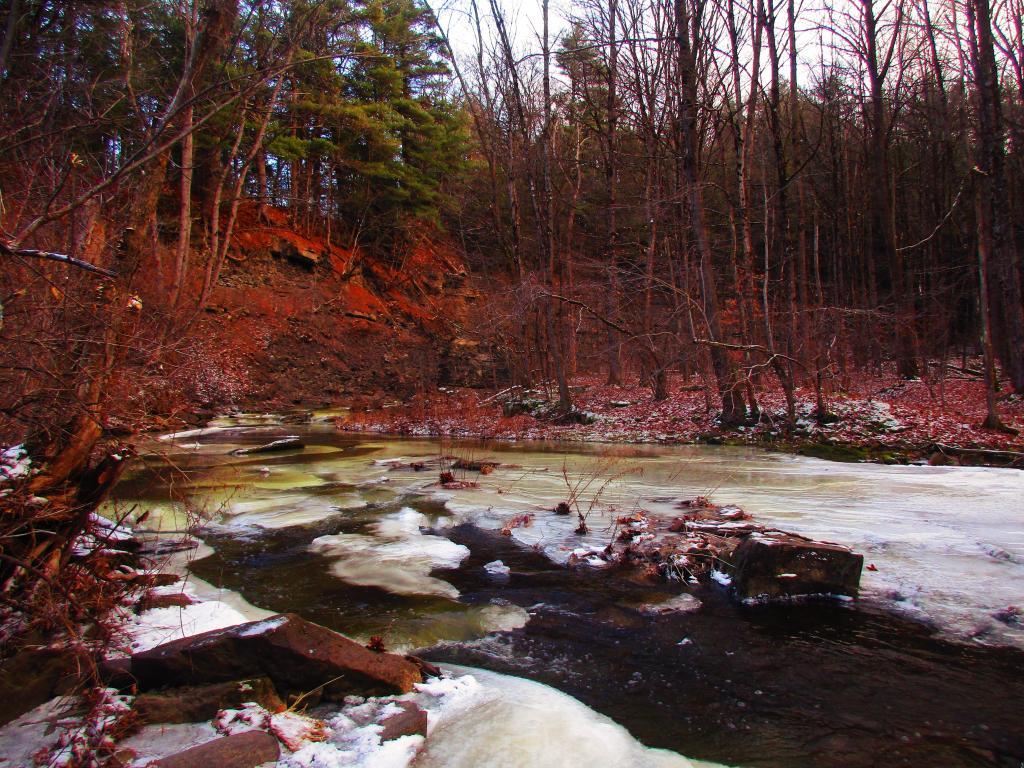 Photo: Above the Falls Photo: Above the Falls