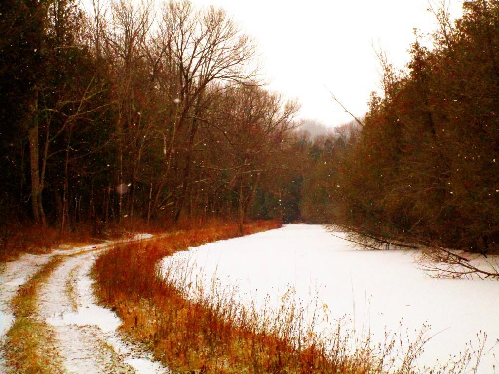 Photo: Along the Canal