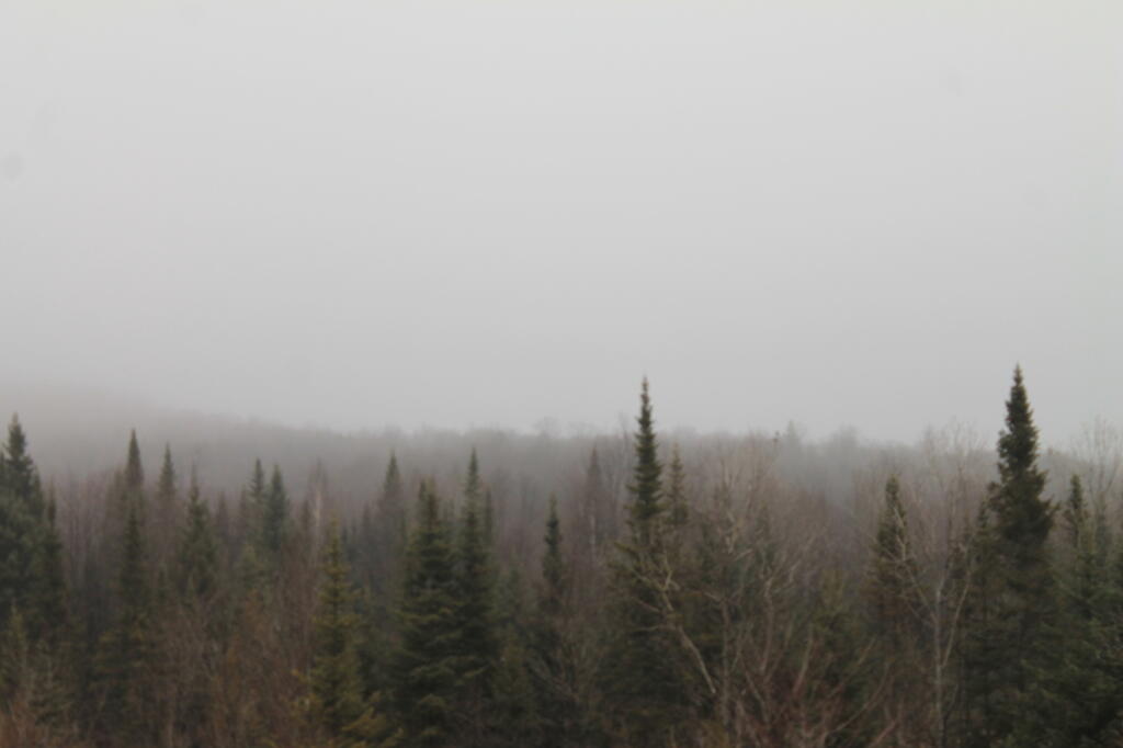 Photo: Fog