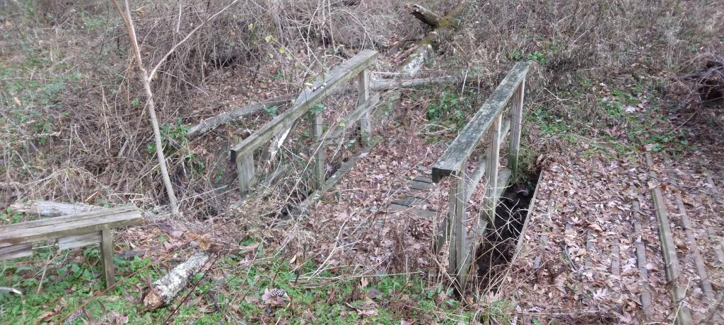 Photo: Trails are overgrown and unmaintained at the Van Rennselear Preserve