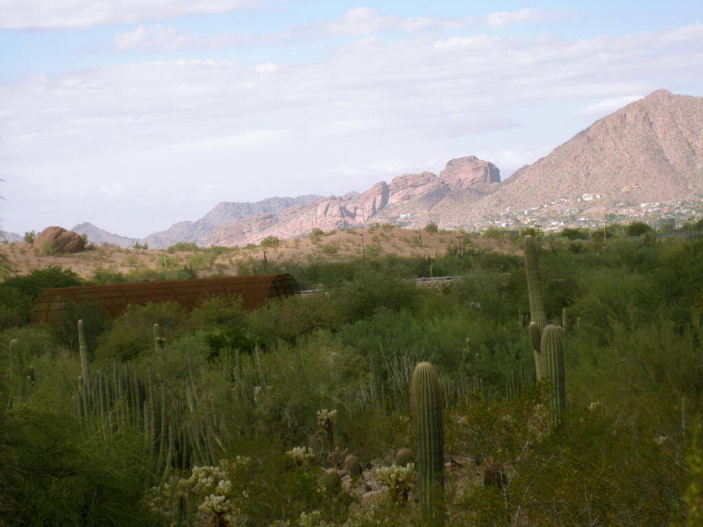 Photo: Scottsdale