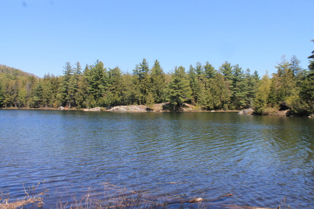 Photos: Wilcox Lake Wild Forest (May 12, 2012) – Andy Arthur.org