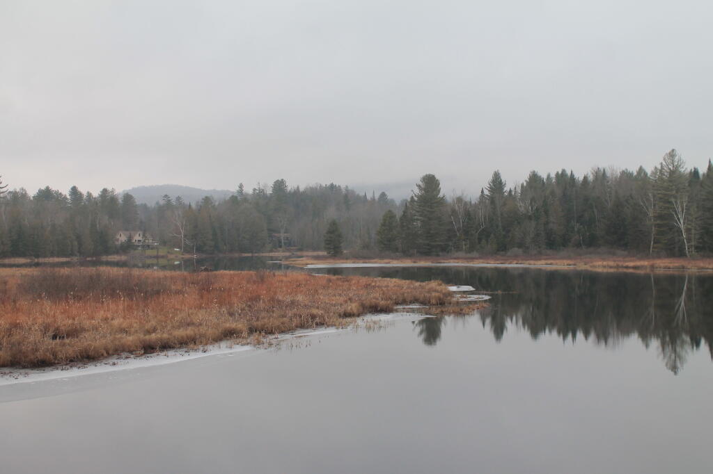 Photo: Harris Lake Photo: Harris Lake